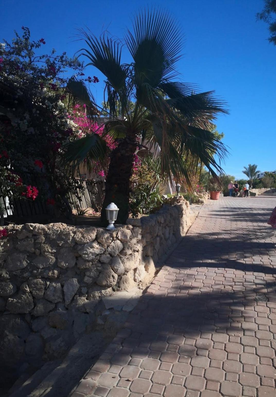 Cordoba Suites Hurghada Eksteriør bilde